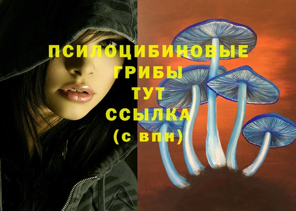 меф Каменка