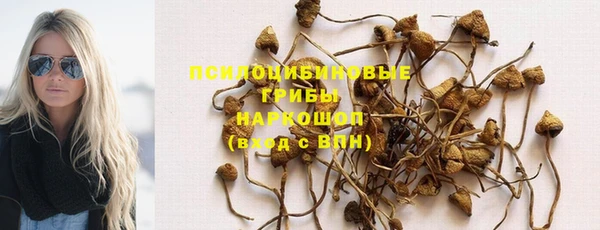 амф Каменногорск