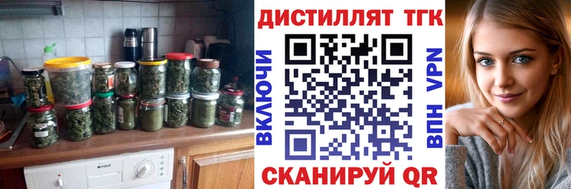 ТГК концентрат  Купить где  Дигора 