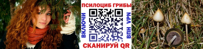 Галлюциногенные грибы мухоморы  Купить закладки  Дигора 